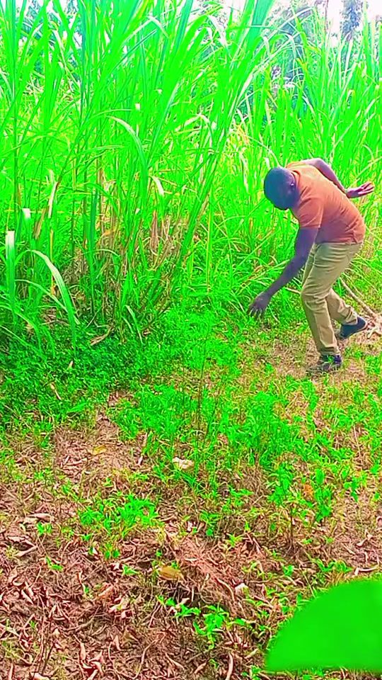 TikTok video thumbnail by dickson_maish
