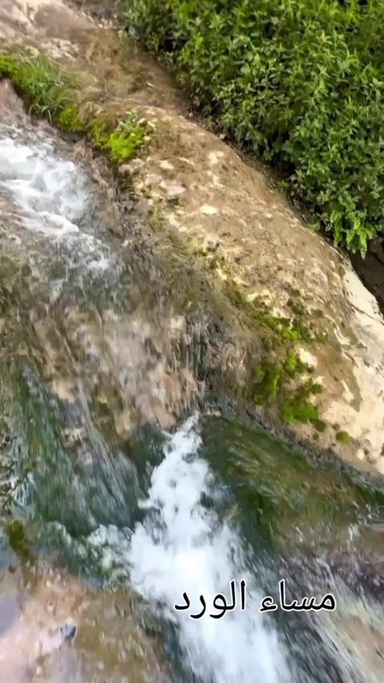 TikTok video thumbnail by .son.of.libya