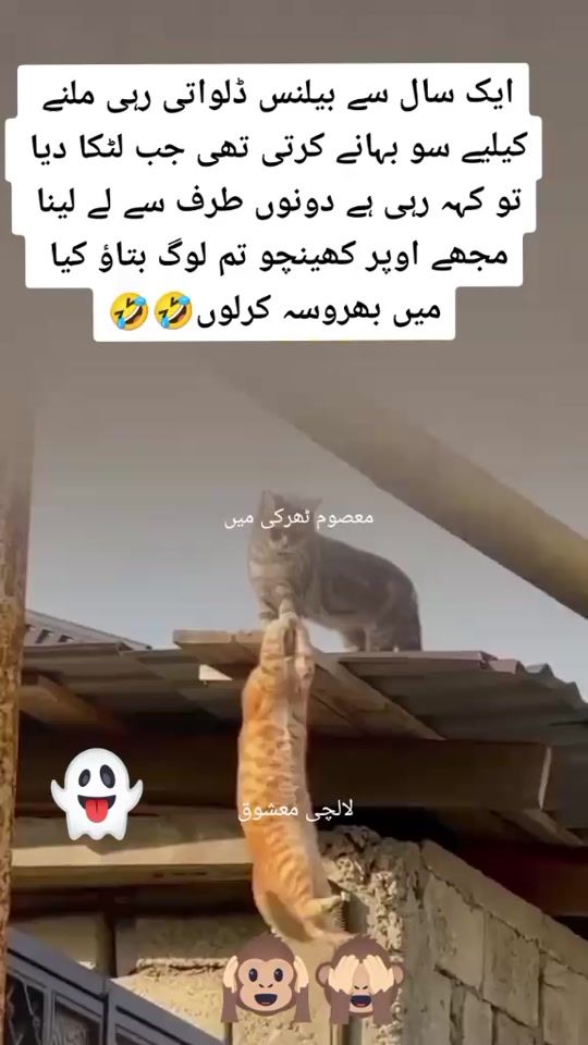 TikTok video thumbnail by r.pardesi