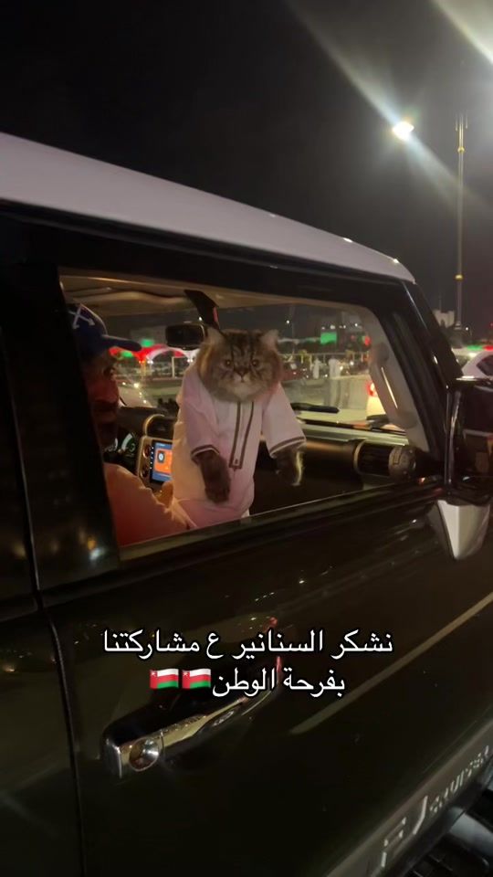 TikTok video thumbnail by mohammedalshakail8