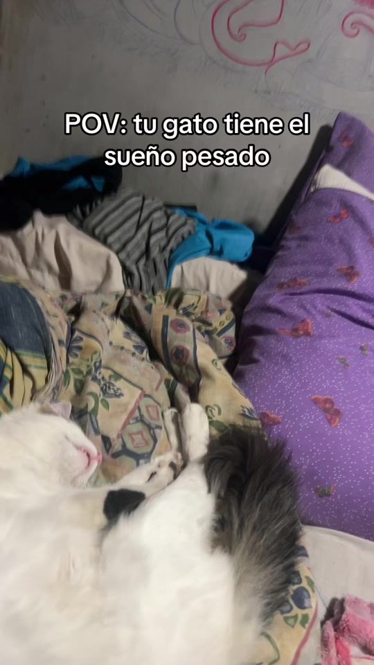 TikTok video thumbnail by kali.koe