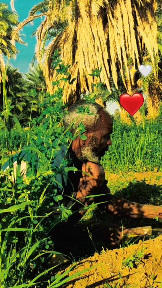 TikTok video thumbnail by ibrahim_talal11