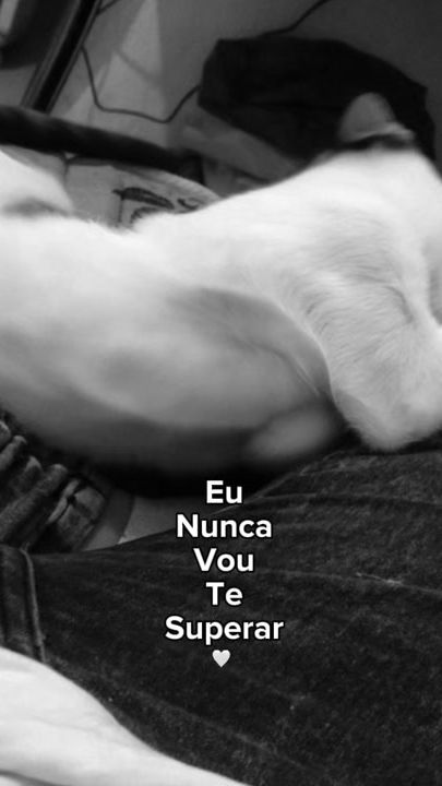 TikTok video thumbnail by manuuh_araujoo_