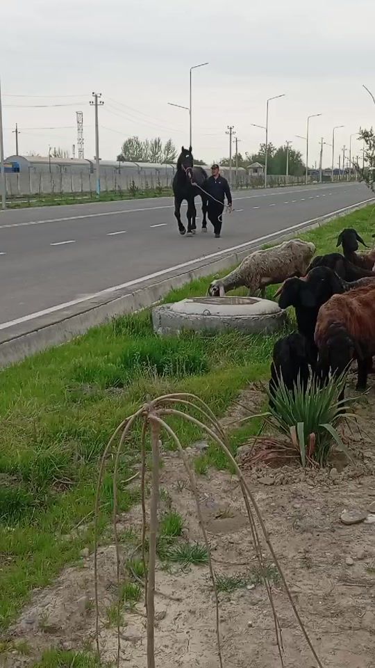 TikTok video thumbnail by sogukod