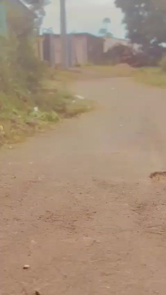 TikTok video thumbnail by mandiiy10