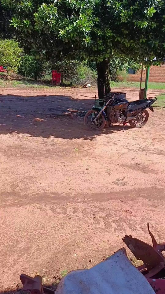 TikTok video thumbnail by agro.zb5