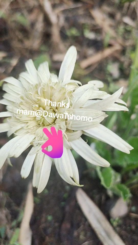 TikTok video thumbnail by singyechozom