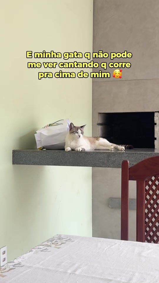 TikTok video thumbnail by musadumont