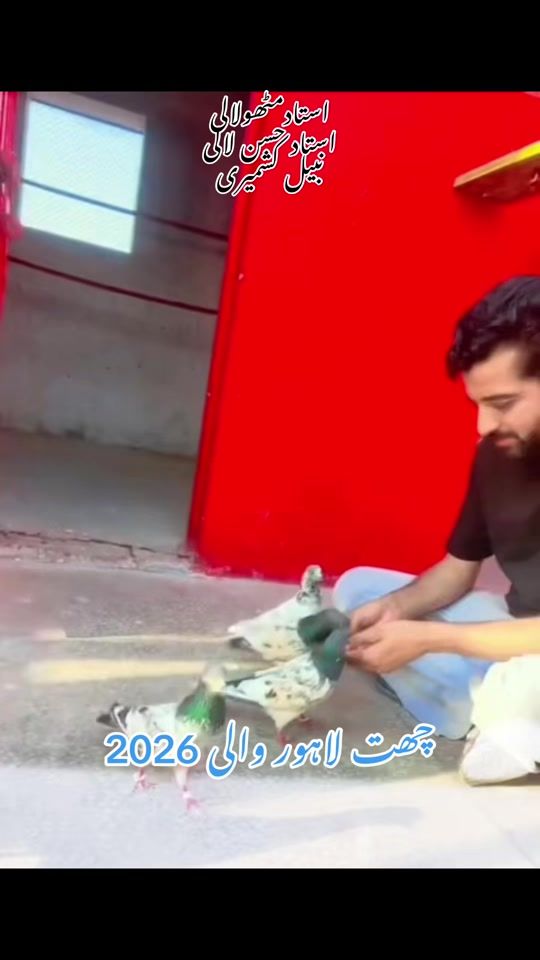 TikTok video thumbnail by nabeelkashmiri_2