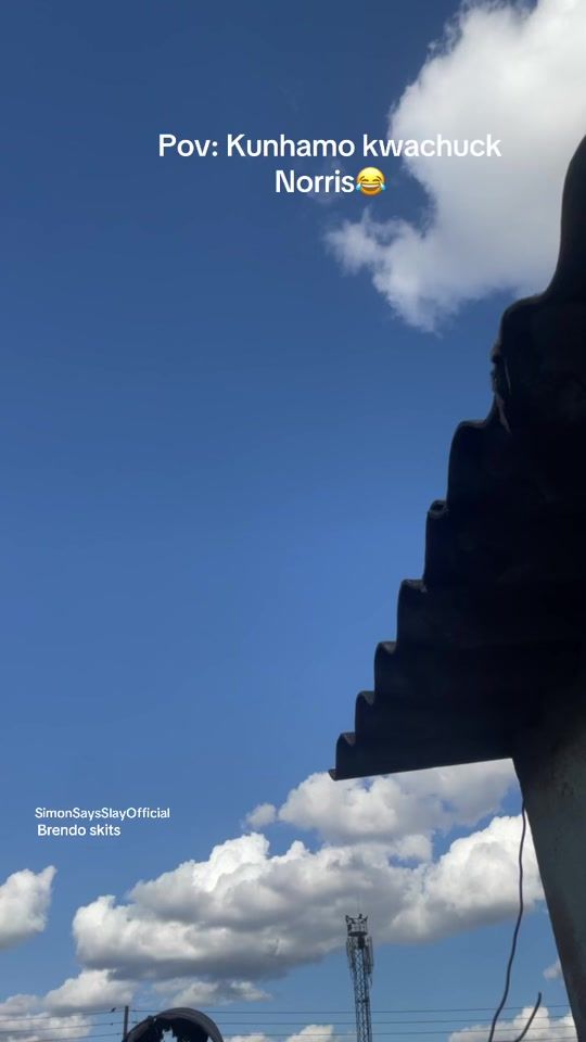 TikTok video thumbnail by simonsaysslayofficial