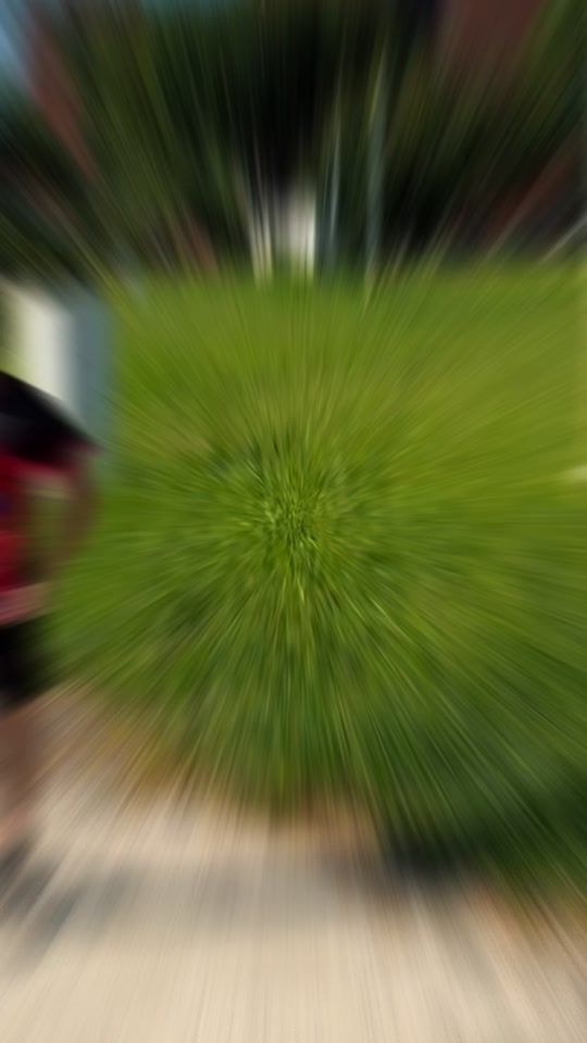TikTok video thumbnail by plistoffer
