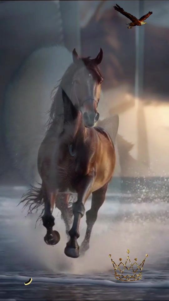 TikTok video thumbnail by livelife373