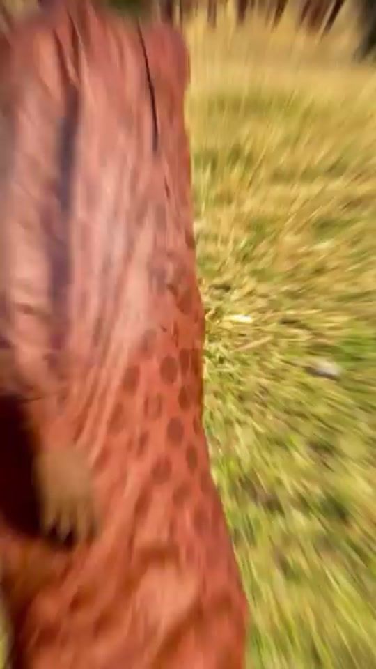 TikTok video thumbnail by arimdorsong