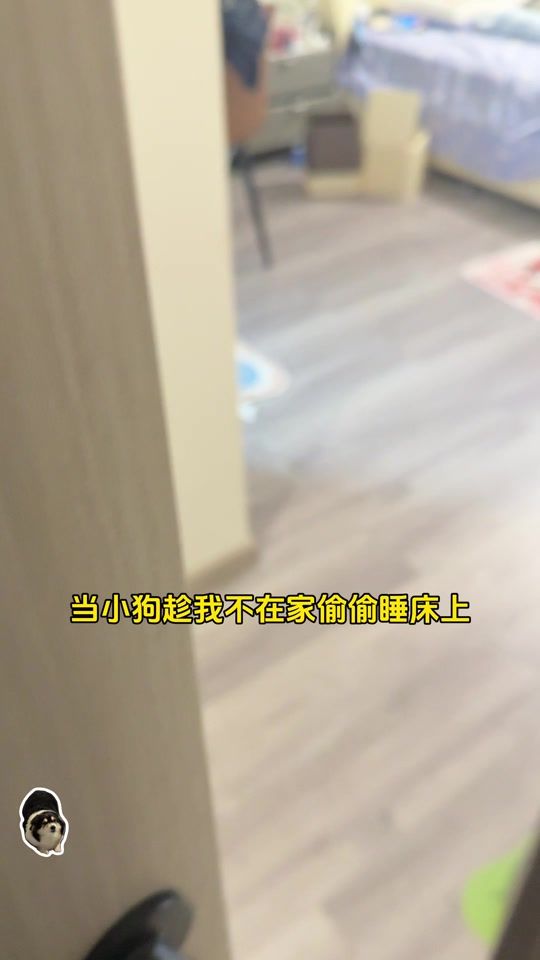 TikTok video thumbnail by corgi.curry