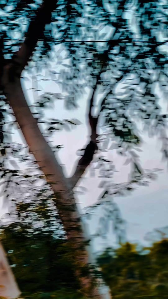 TikTok video thumbnail by arifkhan_25