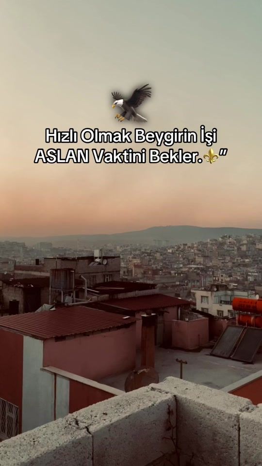 TikTok video thumbnail by adnan_6032