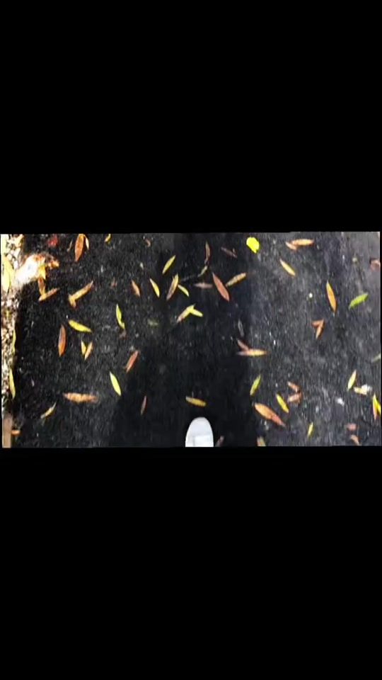 TikTok video thumbnail by omadullo07