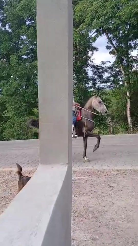 TikTok video thumbnail by 01.luisrivera