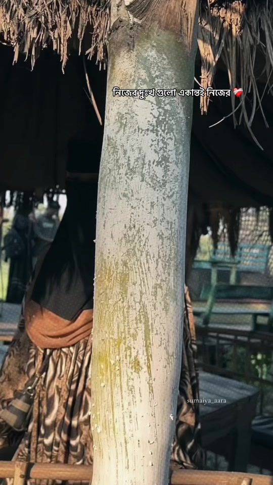 TikTok video thumbnail by sumaiya_aara