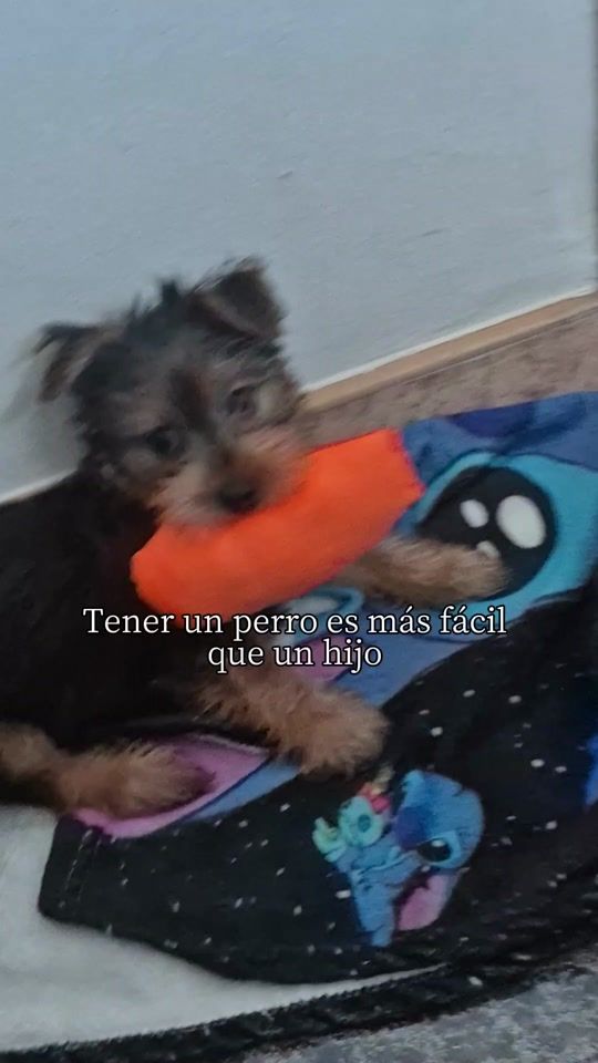 TikTok video thumbnail by katte.lozano