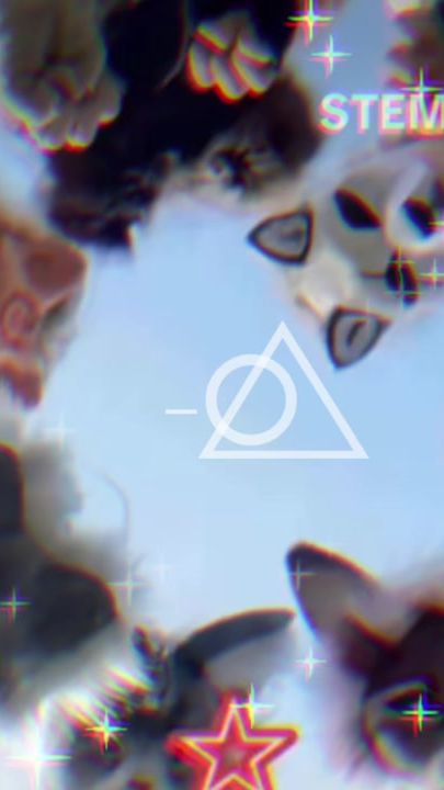 TikTok video thumbnail by mia.difabio1