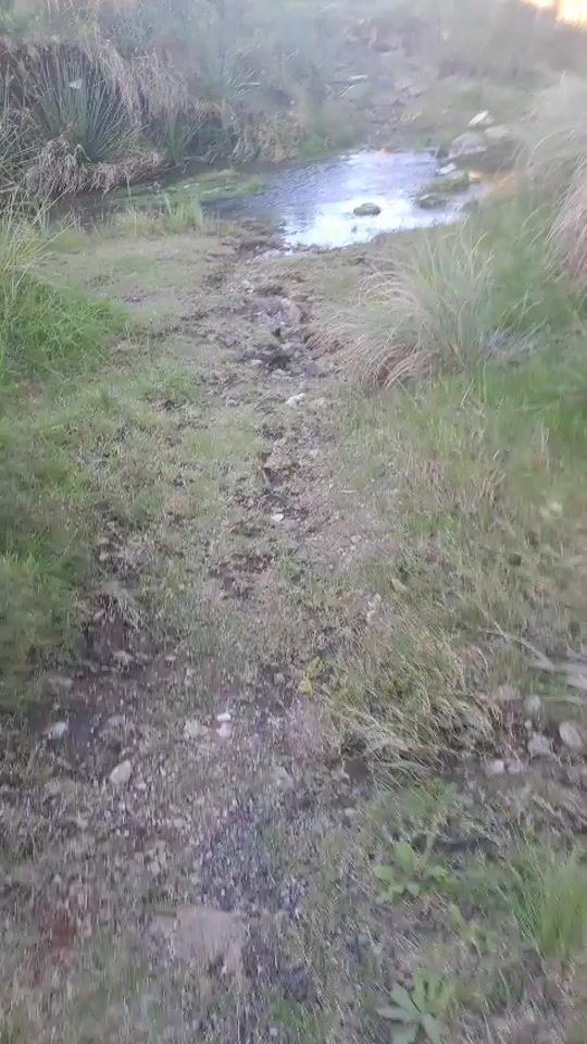 TikTok video thumbnail by luiscal622