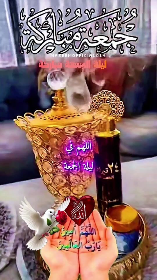 TikTok video thumbnail by .raisa7728