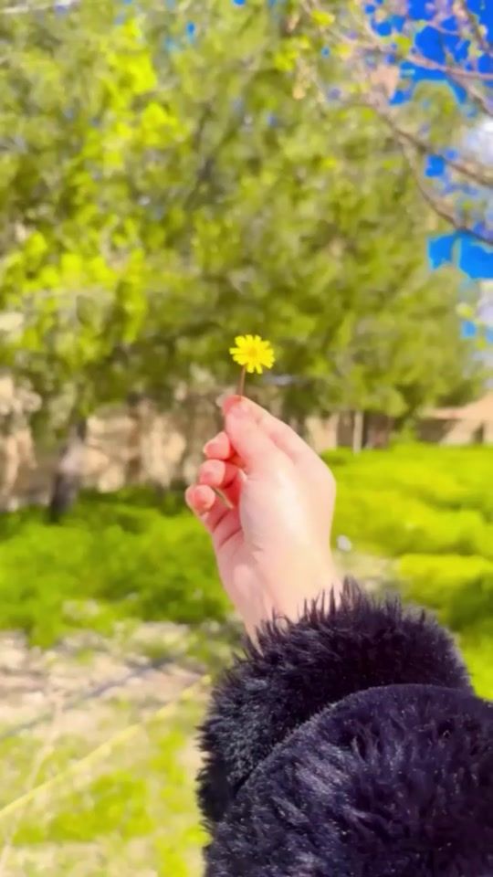 TikTok video thumbnail by umalror..........28
