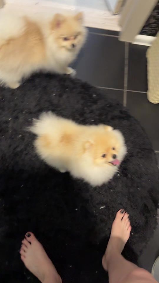 TikTok video thumbnail by _fuzedii08