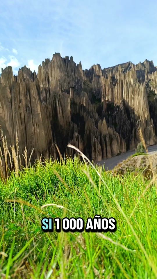 TikTok video thumbnail by nature_dge