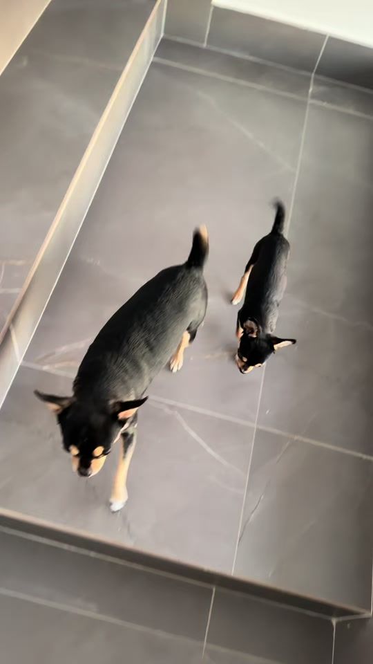 TikTok video thumbnail by natalia.subtil