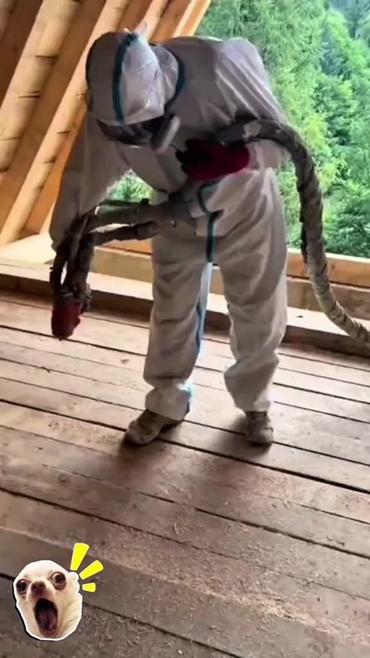 TikTok video thumbnail by chardotv