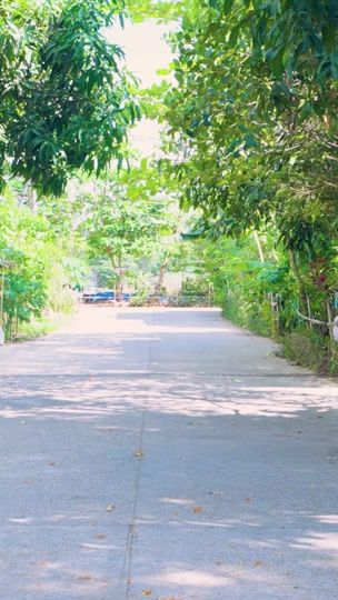 TikTok video thumbnail by butterfly_myanmar