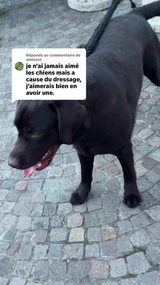 TikTok video thumbnail by loufaetbarizo