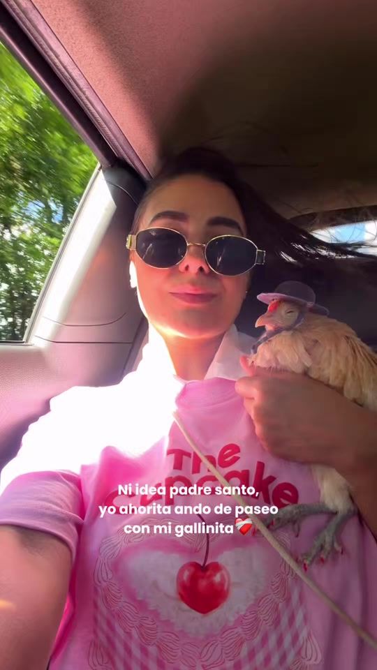 TikTok video thumbnail by pelusaelpollo