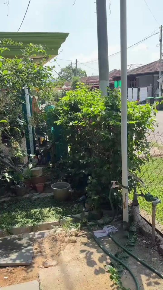 TikTok video thumbnail by ridwanwanazzwan
