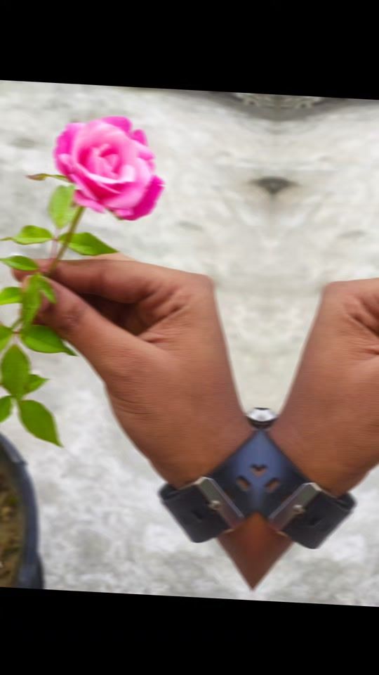 TikTok video thumbnail by hidemorshedshoshi1