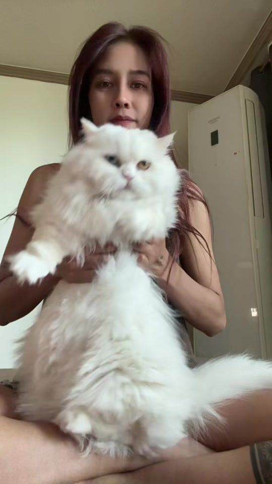 TikTok video thumbnail by lismachandraerlin