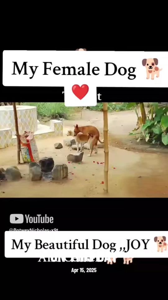 TikTok video thumbnail by botweynicholas