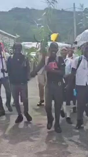 TikTok video thumbnail by slattamusic