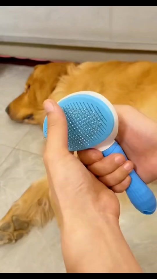 TikTok video thumbnail by barujhaba