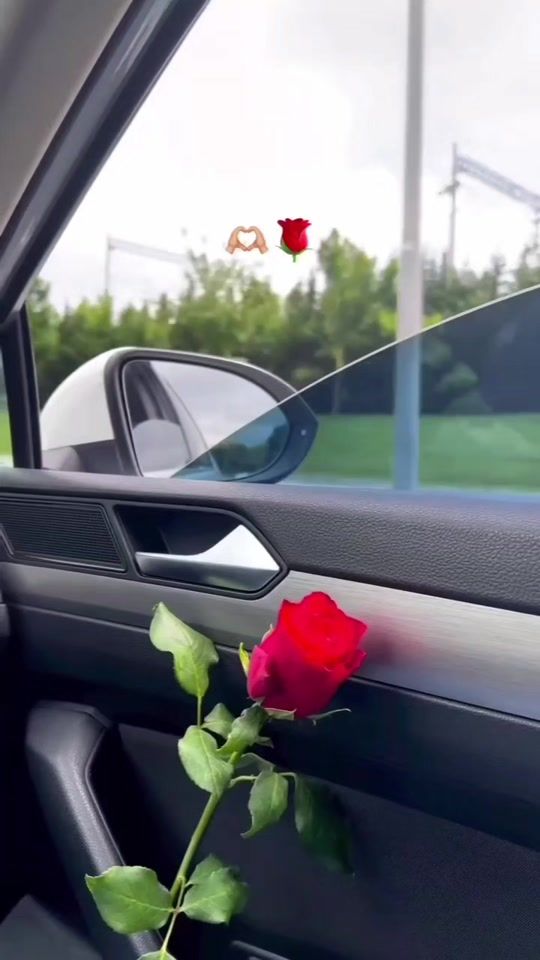TikTok video thumbnail by aylinnn_999