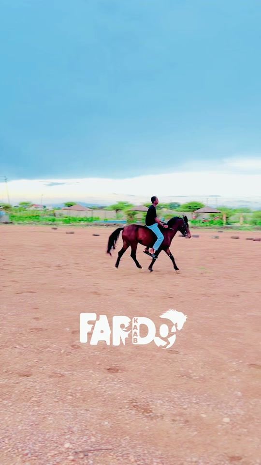 TikTok video thumbnail by fardokaabe1