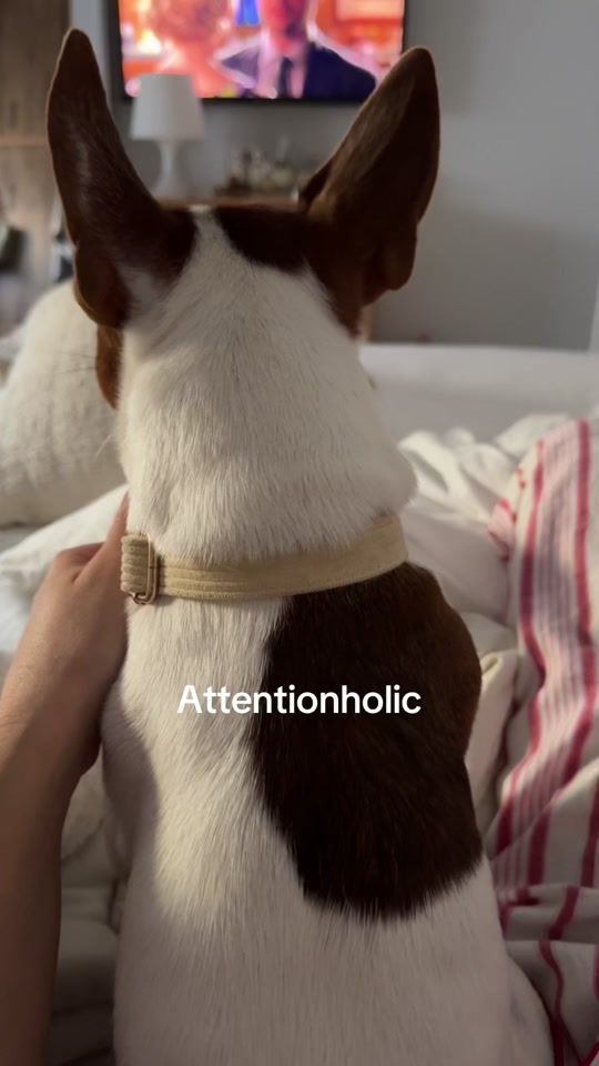 TikTok video thumbnail by kesemi3
