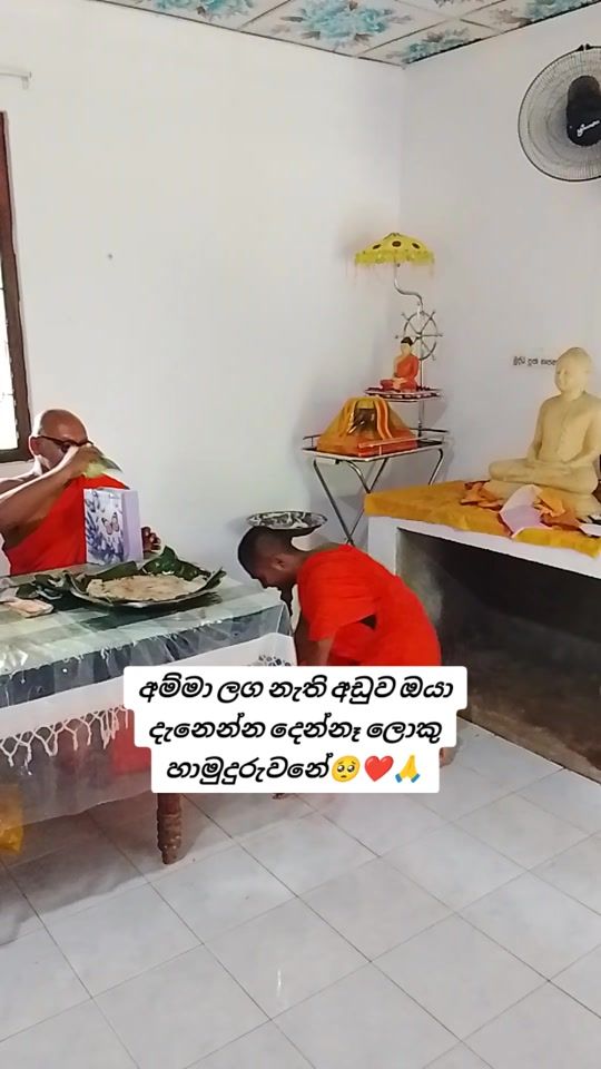 TikTok video thumbnail by thero.chutysadhu