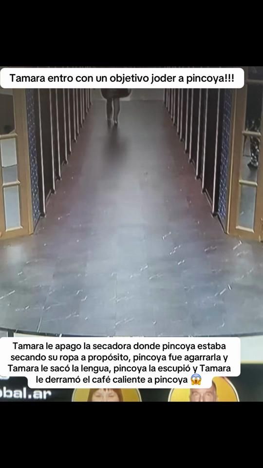 TikTok video thumbnail by maitenapalacio
