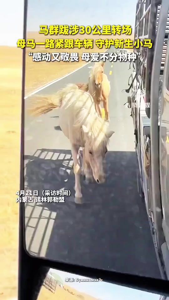TikTok video thumbnail by everstrongaccessories