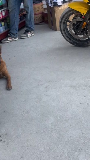 TikTok video thumbnail by nefta_cv