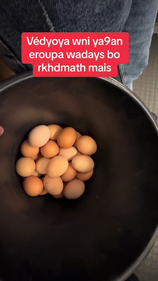 TikTok video thumbnail by sameh_rf
