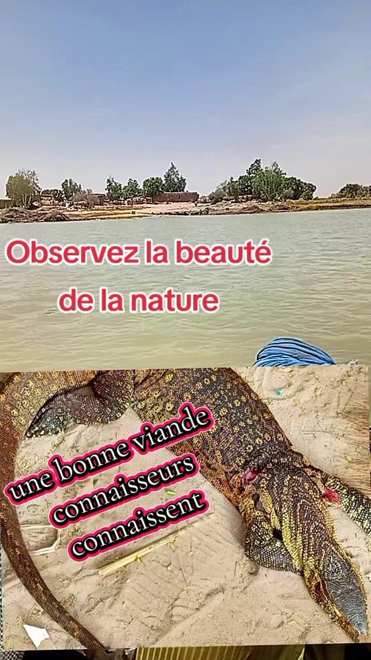 TikTok video thumbnail by h.maiga2